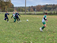 Bild D-Jugend