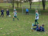 Bild D-Jugend