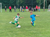Bild E-Jugend