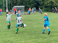 Bild E-Jugend