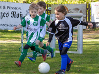 Bild: Bambiniturnier in Großdrebnitz